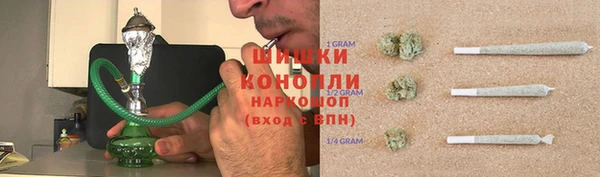 PSILOCYBIN Алзамай