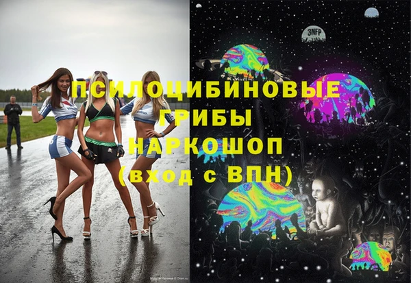 PSILOCYBIN Алзамай