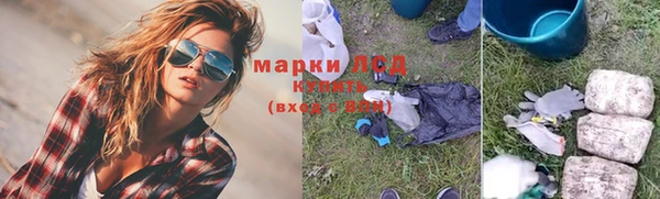 PSILOCYBIN Алзамай