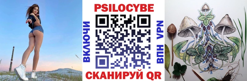где купить Люберцы Галлюциногенные грибы мицелий